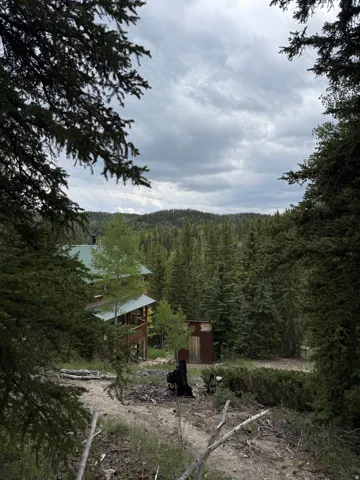 Rustic mountain home featuring a green-pitched roof, timber siding, and an upper-level balcony