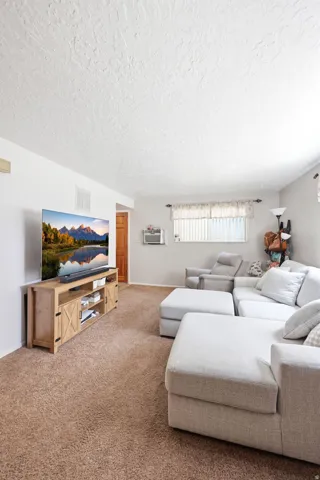 Carpeted living area featuring a neutral color palette, textured ceiling, and a window with blinds