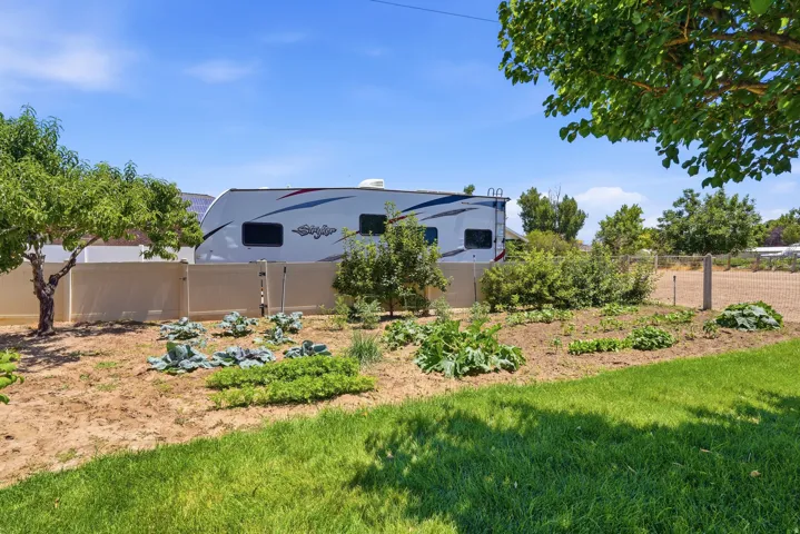 Established garden beds with a variety of plantings, featuring a partial privacy fence and mature trees