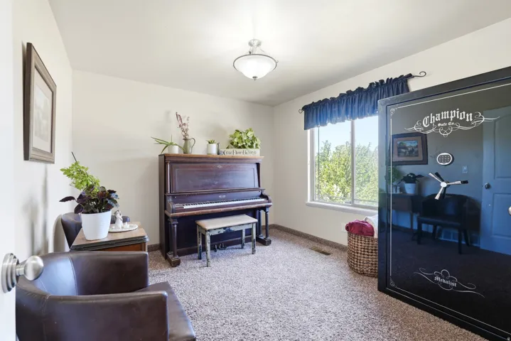 Bright room featuring light-colored walls and textured carpeting