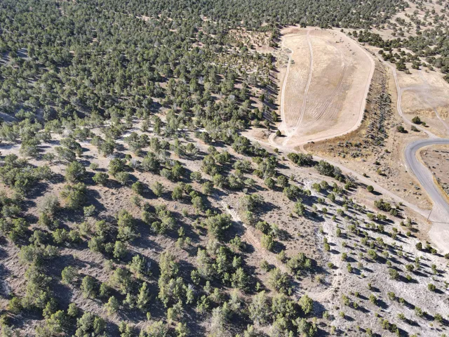 1125 S Sheep Ln, Nephi, Utah 84648