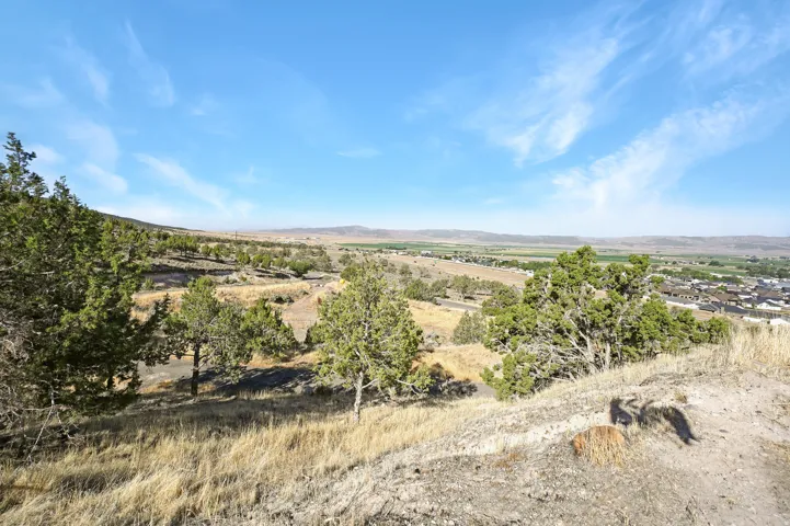 1125 S Sheep Ln, Nephi, Utah 84648