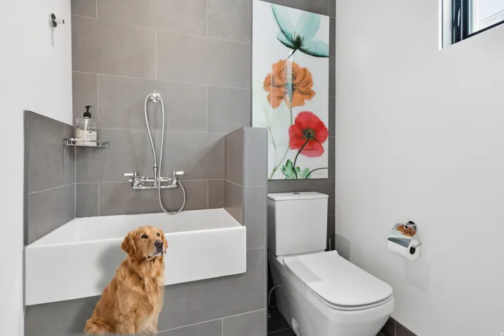 Dedicated pet wash station featuring a white basin, chrome showerhead, and gray tile surround