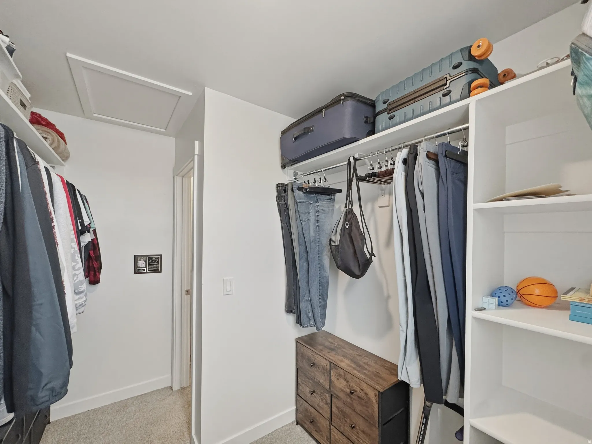Walk-in closet featuring white built-in shelving, carpet flooring, a clothes hanging rod, and a ceiling access panel