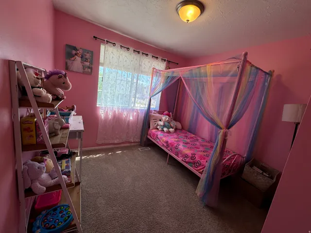Carpeted room featuring a window with white sheer curtains, a built-in ceiling light fixture, and warm-toned wall paint