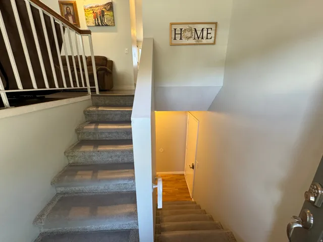 Carpeted staircase with white balusters and a dark wood handrail, featuring a light wall color and natural light