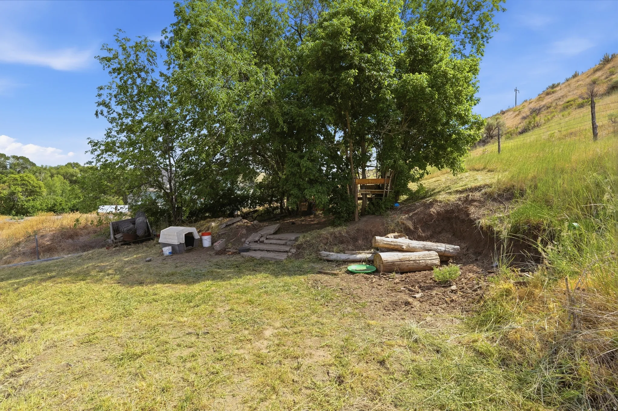 Expansive outdoor space featuring a sloped, grass-covered terrain and mature trees