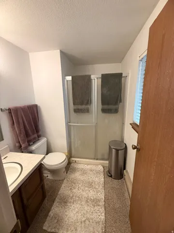 Full bathroom featuring a shower with sliding frosted glass doors, white toilet, and a vanity with an integrated sink and wood-finish cabinetry