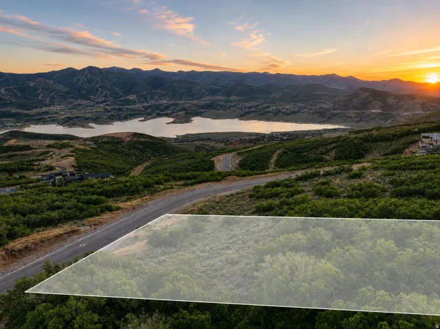 Expansive undeveloped lot featuring lush green vegetation and a paved road frontage