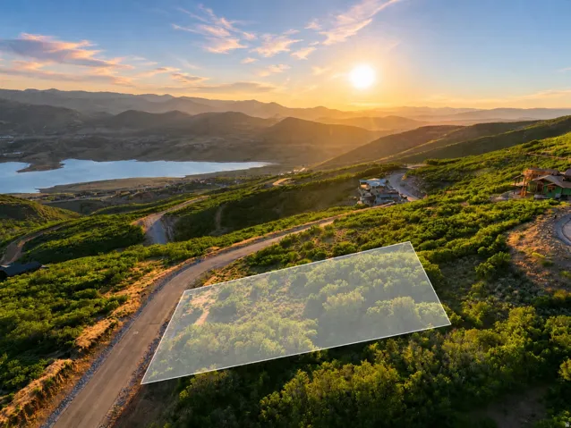 Expansive mountain-side lot featuring abundant natural vegetation and a paved road frontage