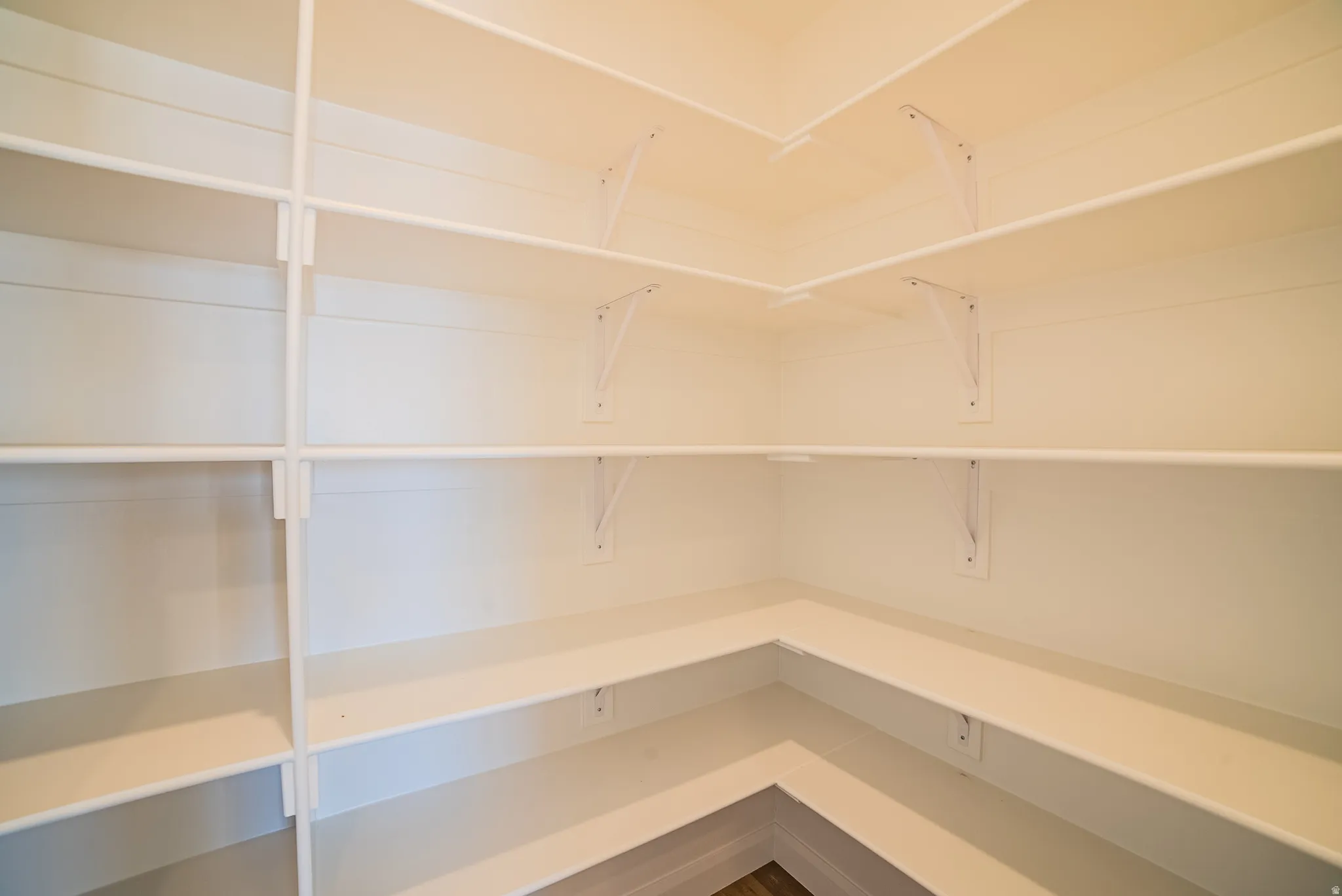 Walk-in pantry with extensive white shelving, multiple tiers of storage, L-shaped lower shelving, and durable support brackets