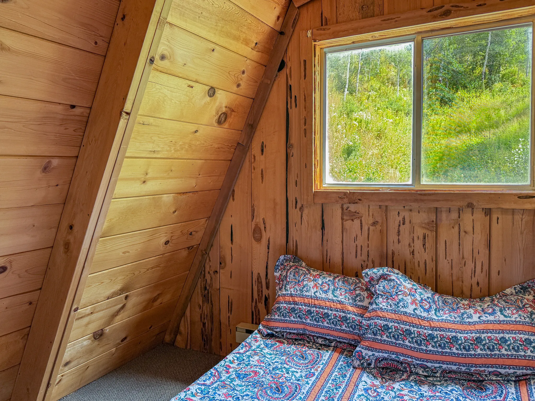 Pine wood-paneled walls with exposed structural beams and a window overlooking lush greenery