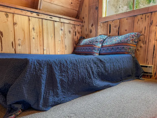 Wood-paneled room featuring a window providing natural light, textured carpet flooring, and an integrated wall heater