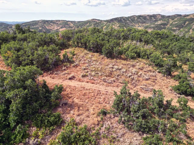 Expansive terrain featuring varied topography, mature trees, natural vegetation, and distant mountain ranges