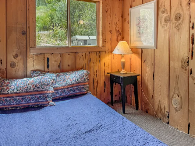 Room featuring wood paneling, a single window, and carpeted flooring