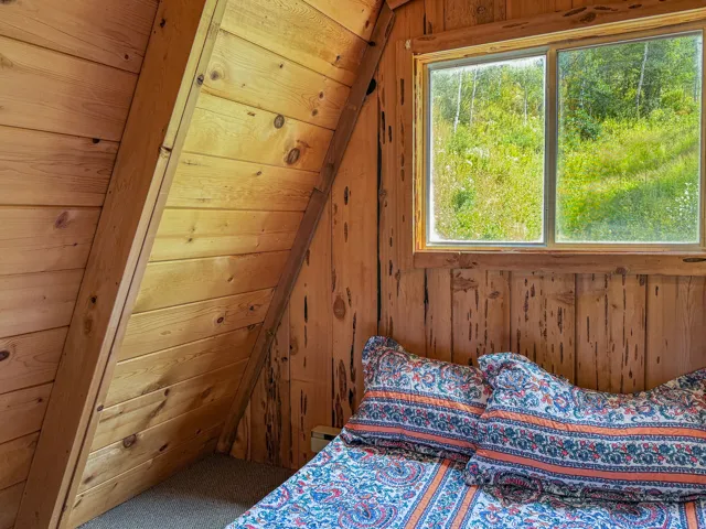 Pine wood-paneled walls with exposed structural beams and a window overlooking lush greenery