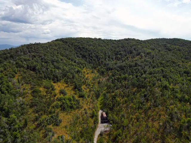 Mountainous landscape with dense forestry