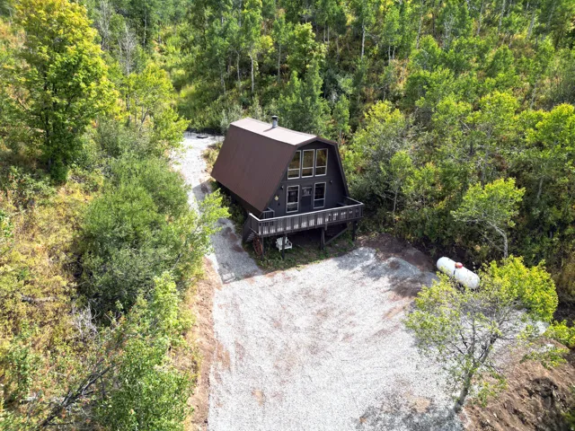 A-frame structure featuring a dark facade and a brown roof