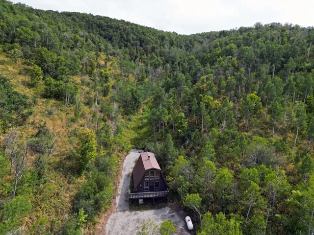 A-frame residence featuring a brown roof and dark-toned siding, situated on a sloped, wooded lot