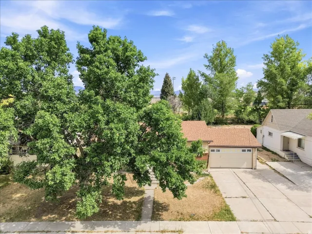 Ranch-style residence featuring a two-car attached garage with decorative windows, a concrete driveway, and a tan shingle roof