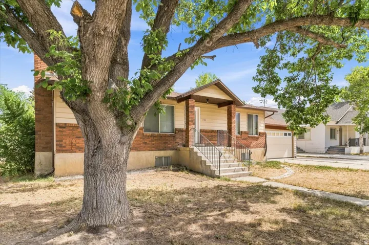 Ranch-style residence featuring a prominent mature tree, brick and siding exterior, front porch with metal railings, and an attached garage with a white door