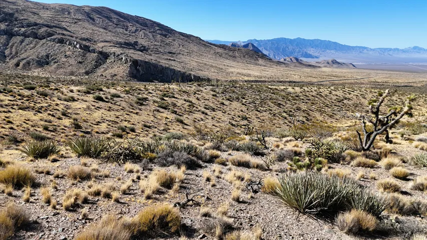 Expansive desert landscape featuring natural vegetation and distant mountain ranges