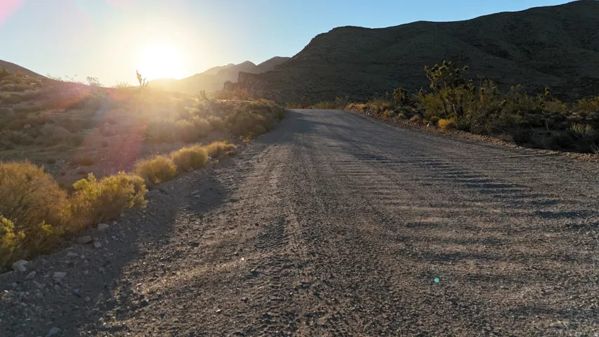 Gravel road winding through a desert landscape with natural desert flora and distant mountains under a bright sky