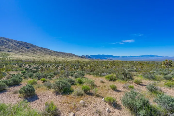 Expansive desert landscape featuring natural vegetation and distant mountain ranges under a clear sky