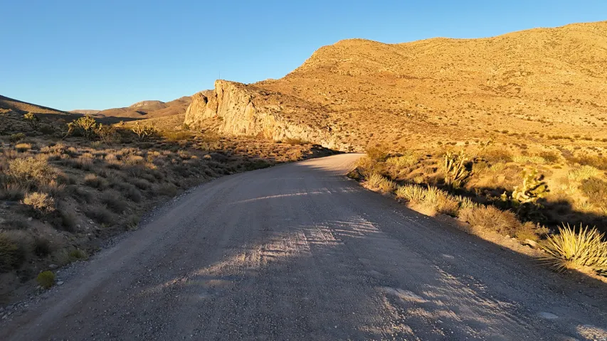 Unpaved road winding through a desert landscape with natural rock formations and abundant desert flora