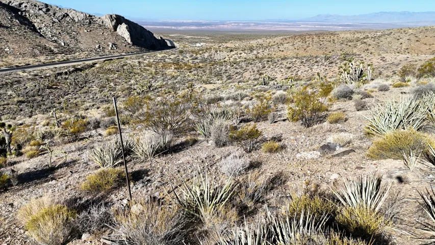Expansive desert landscape featuring natural vegetation and distant mountain ranges