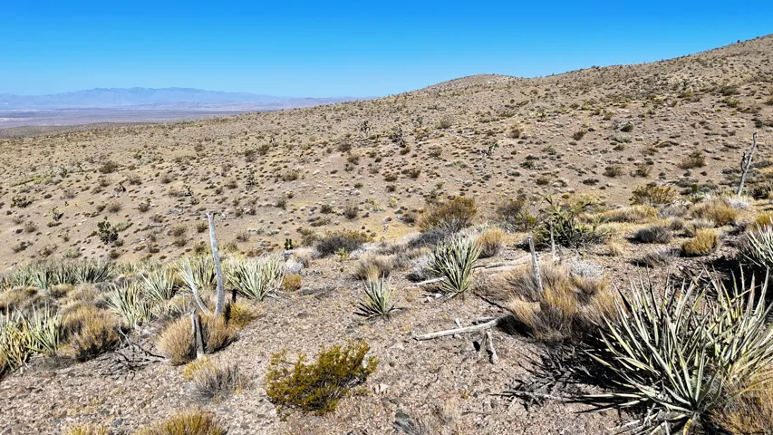 Expansive desert landscape featuring natural rock formations and diverse native drought-tolerant flora