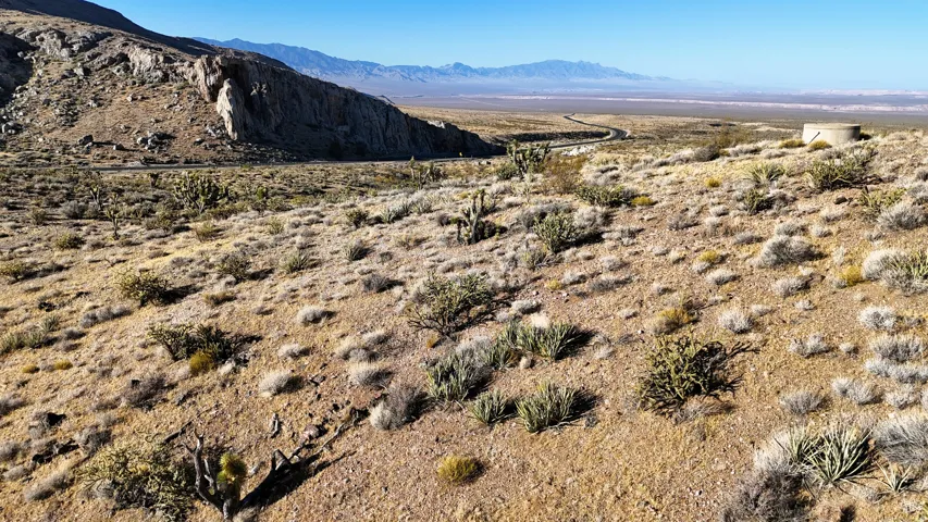 Expansive desert landscape with natural flora, a distant paved road, and mountain formations under a clear sky