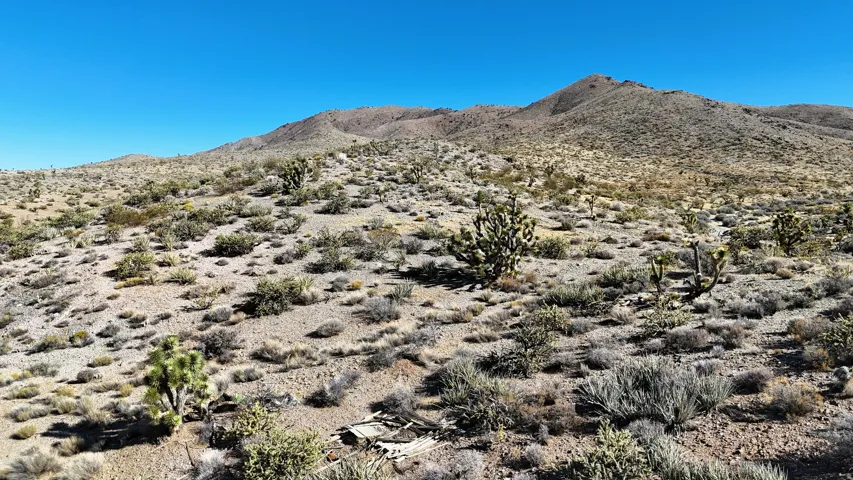 Expansive desert terrain featuring various drought-tolerant vegetation, distant mountains, and a clear sky