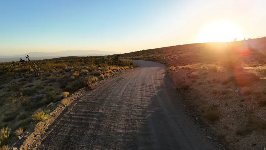 Expansive desert landscape featuring a winding dirt road, distant mountains, and varied desert flora including Joshua trees
