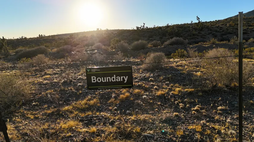 Expansive desert landscape featuring natural vegetation and distant hills under a clear sky