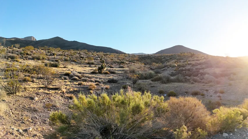 Expansive desert terrain featuring varied shrubbery and visible cacti