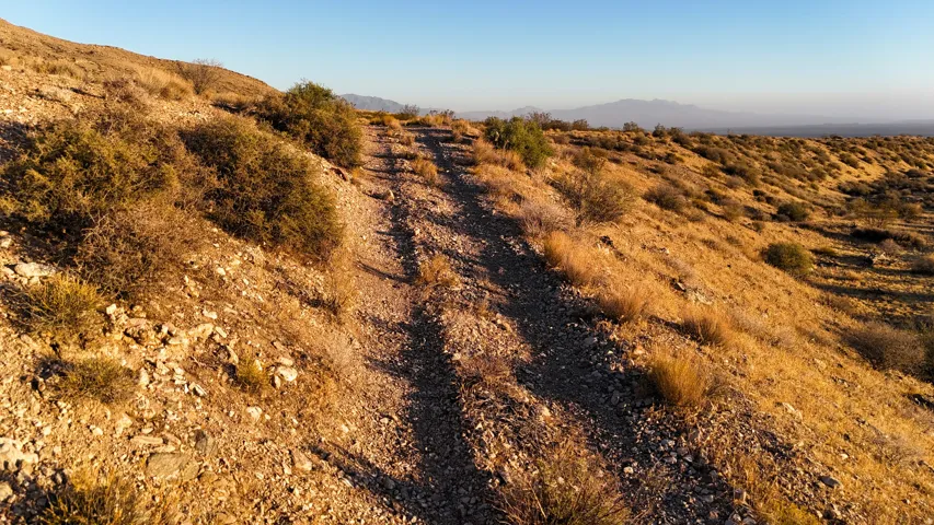 Expansive desert landscape featuring a gradual incline, natural shrubbery, and a broad horizon