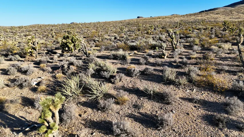 Expansive desert landscape featuring natural rock formations, native shrubbery, and mature cacti