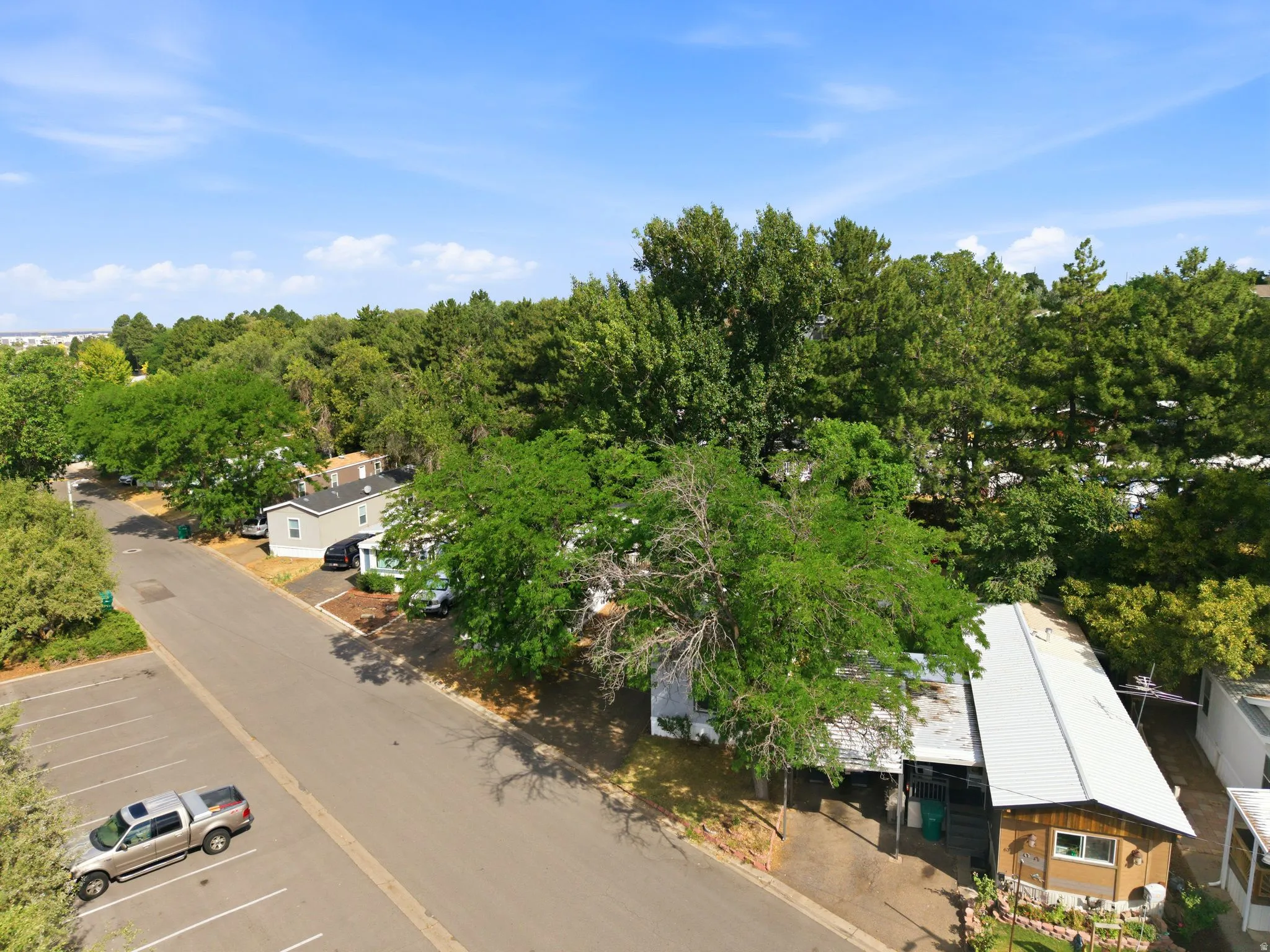 Aerial perspective showcasing a residential community with abundant mature trees and paved roadways