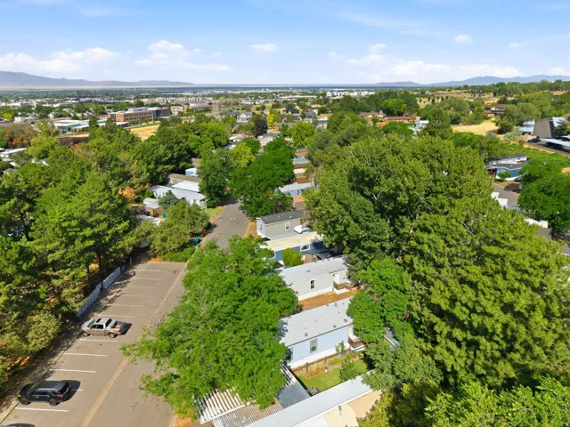 Aerial panorama showcasing a residential development nestled among established trees, with a distant city skyline and mountain ranges under a clear sky