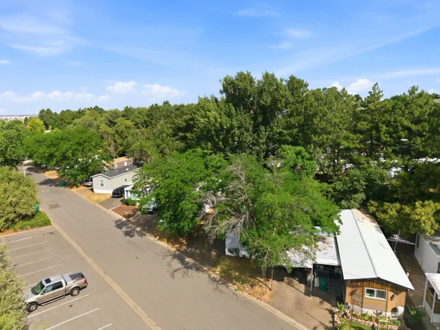 Aerial perspective showcasing a residential community with abundant mature trees and paved roadways
