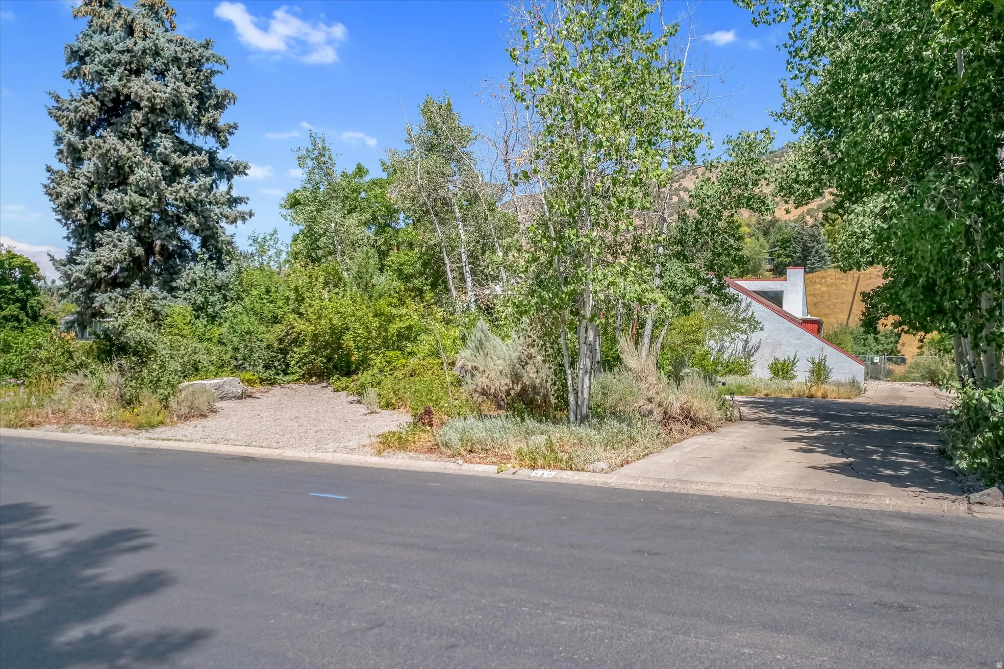 Paved street with multiple driveways, mature trees, and a mountain backdrop