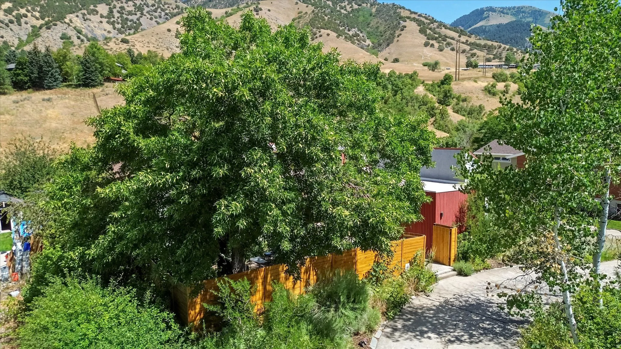 Lush tree canopy providing natural shade