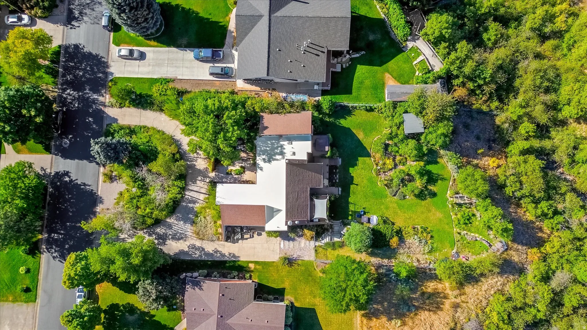 Aerial perspective showcasing a property with extensive natural landscaping