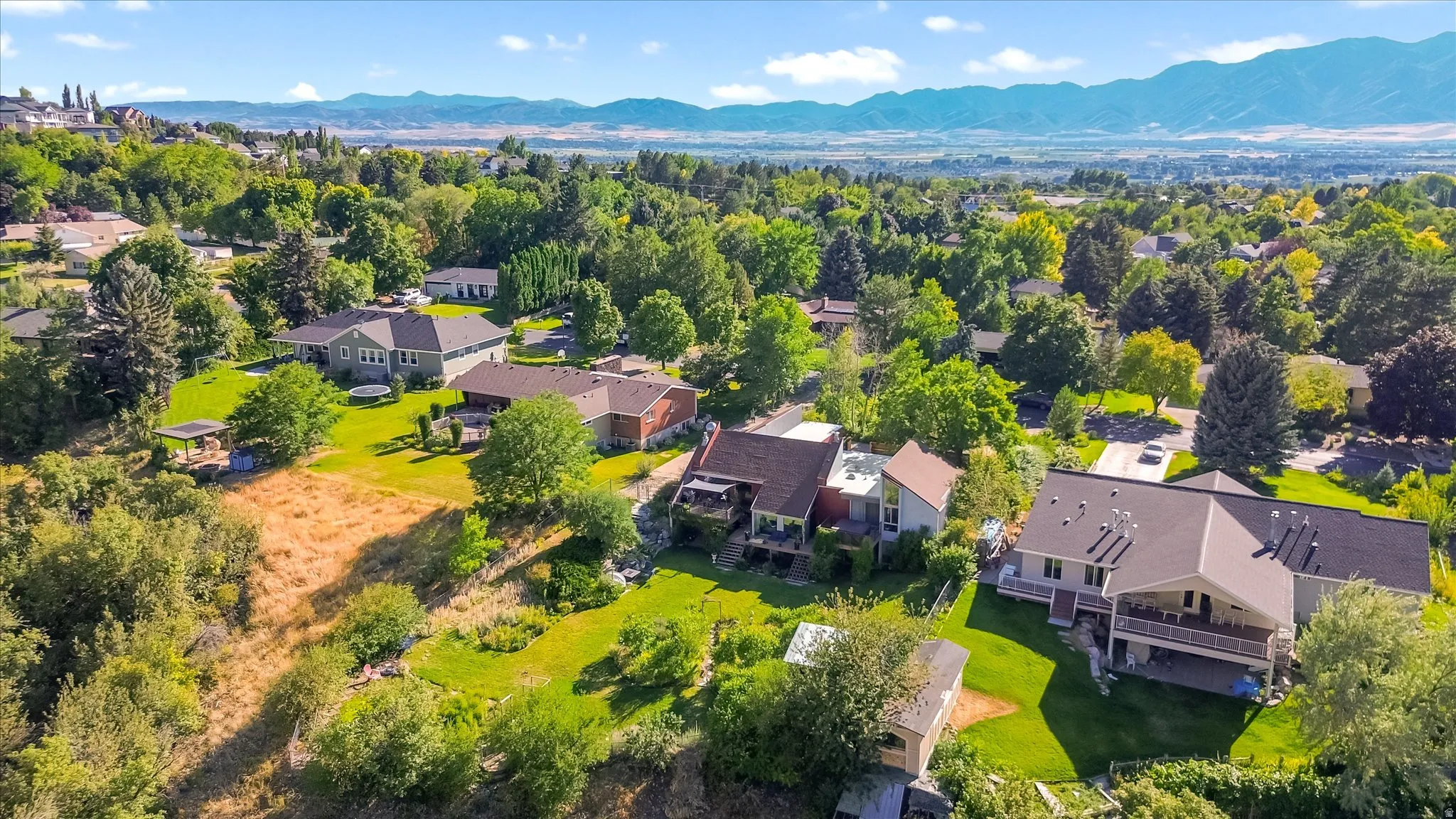 Aerial perspective showcasing multiple properties nestled among mature trees