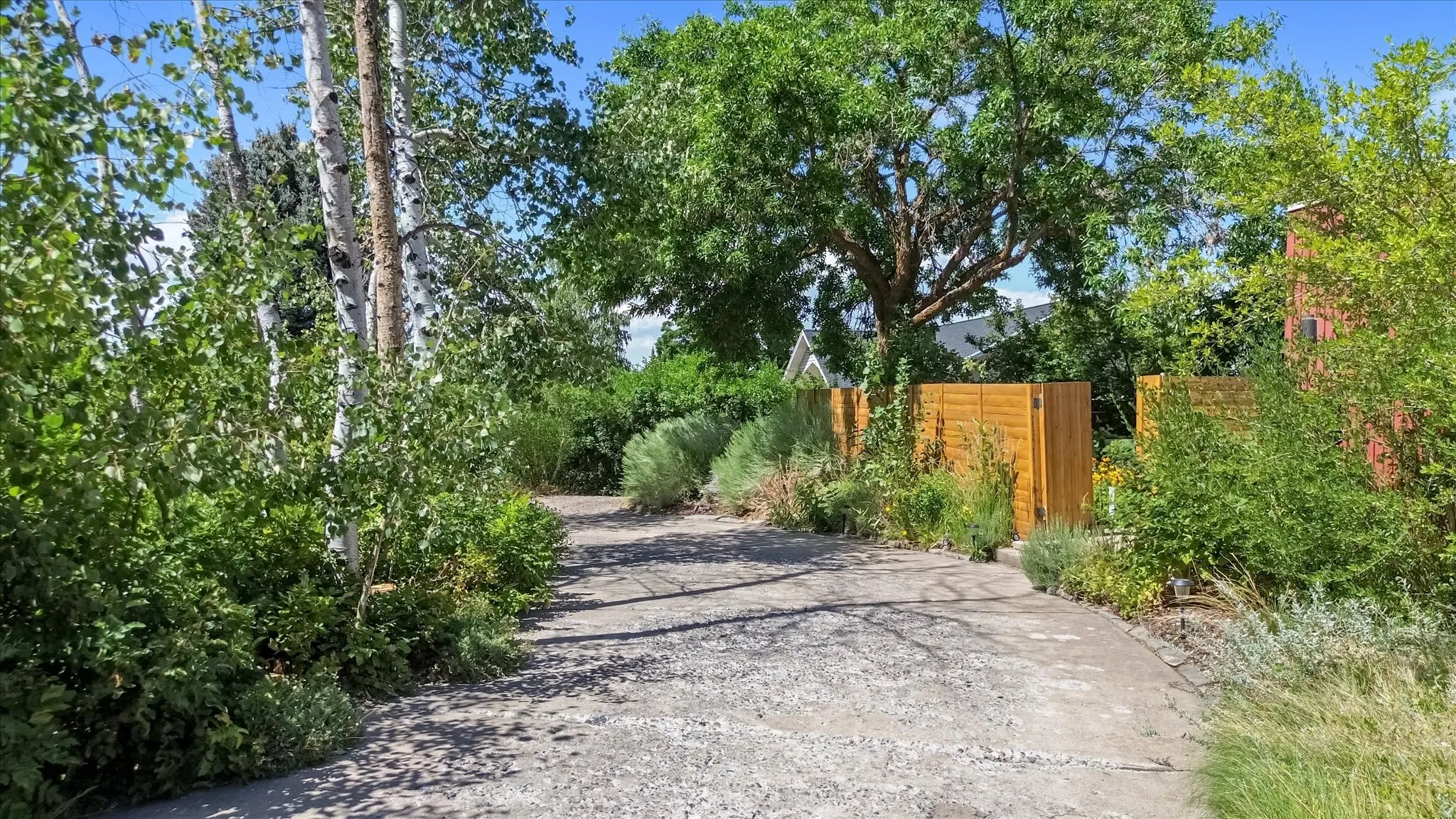 Gravel and concrete driveway bordered by mature trees and varied plantings