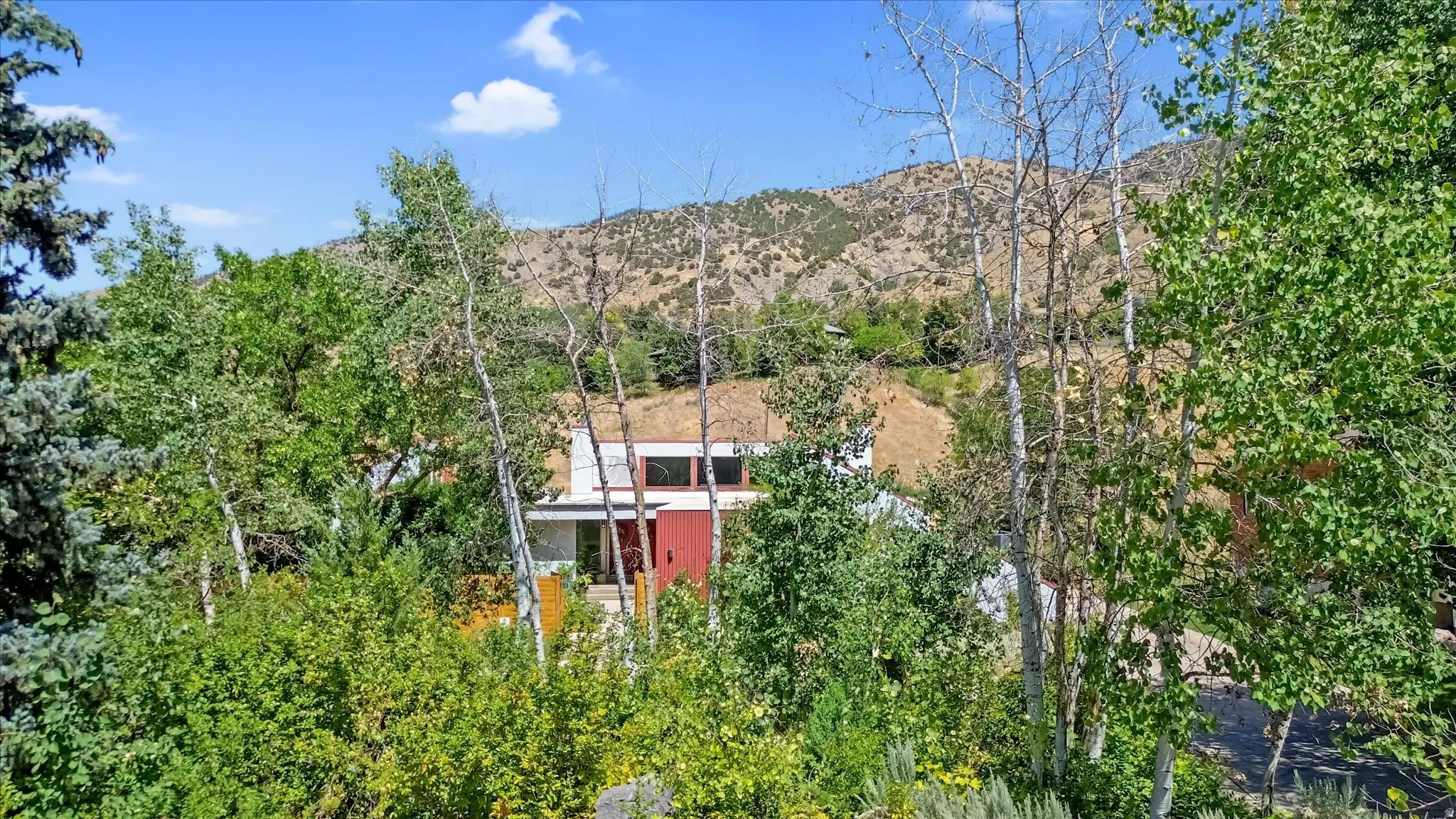 Modern architecture with a red accent panel and expansive windows, surrounded by mature trees and natural landscaping