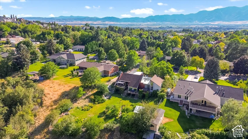 Aerial perspective showcasing multiple properties nestled among mature trees