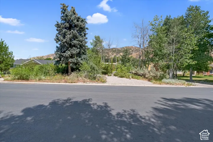 Paved street with a gravel shoulder, featuring mature trees and established shrubbery, with distant mountain scenery