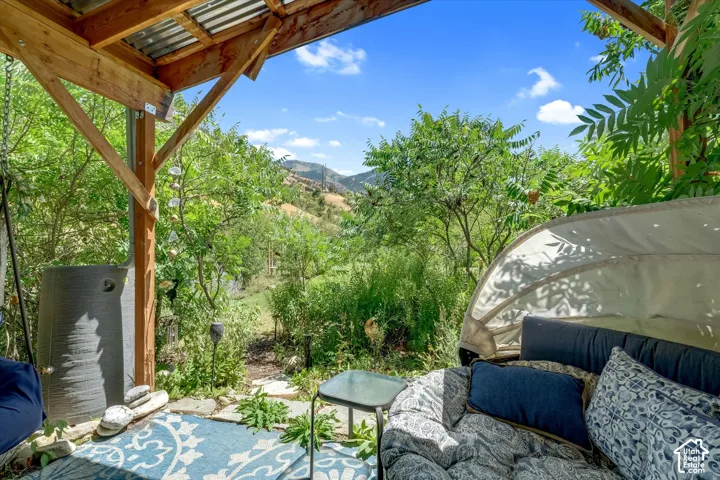 Covered patio with exposed wood beams and corrugated metal roofing